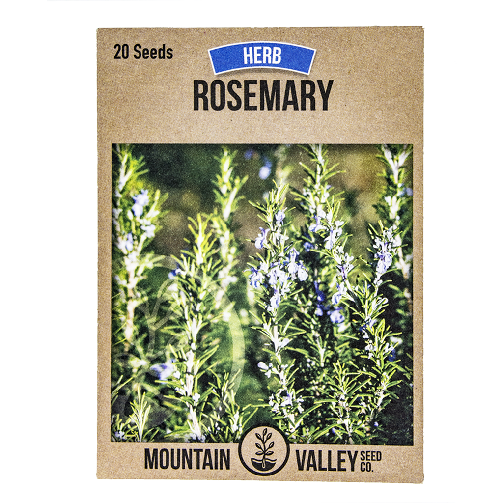 Rosemary • اكليل الجبل - plantnmore