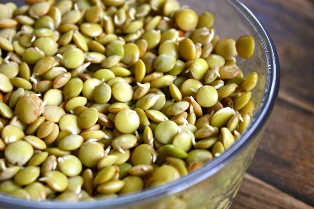 Green Lentils 114g • العدس الاخضر العضوي - plantnmore