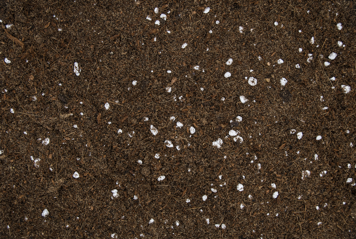 Seed Starting Microgreen Mix • خلطة زراعة البذور والميكروجرين - plantnmore