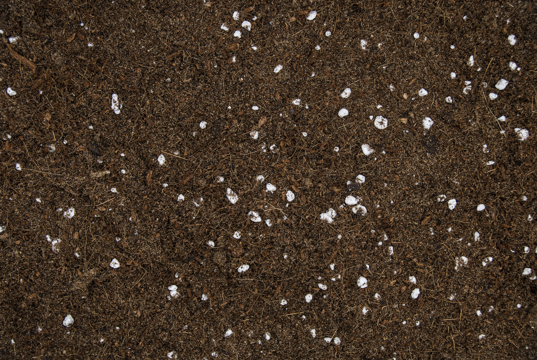 Seed Starting Microgreen Mix • خلطة زراعة البذور والميكروجرين - plantnmore