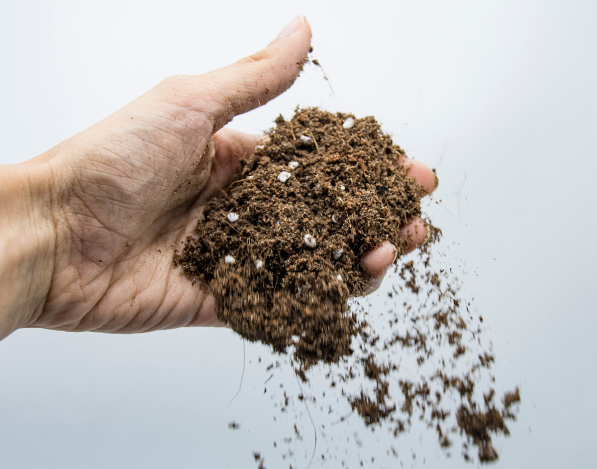 Seed Starting Microgreen Mix • خلطة زراعة البذور والميكروجرين - plantnmore