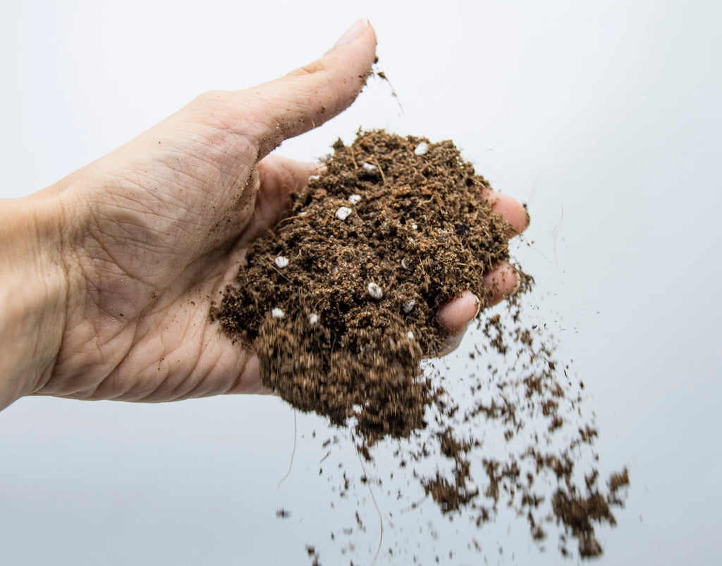Seed Starting Microgreen Mix • خلطة زراعة البذور والميكروجرين - plantnmore