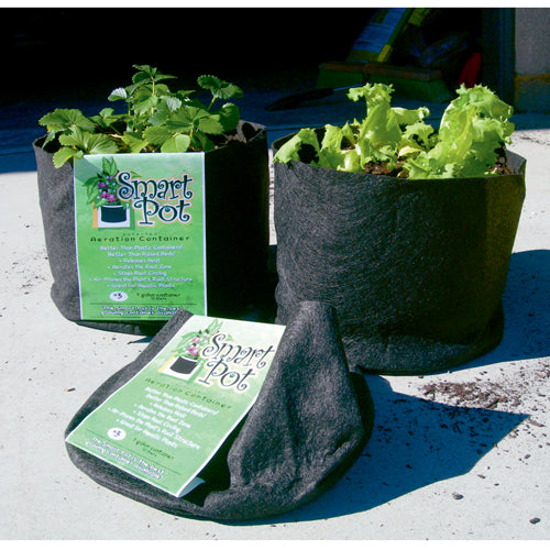 15 gallon Black Smart Pot Strap Handles ● حوض ١٥ غالون لون أسود مع مسكات متينة - plantnmore