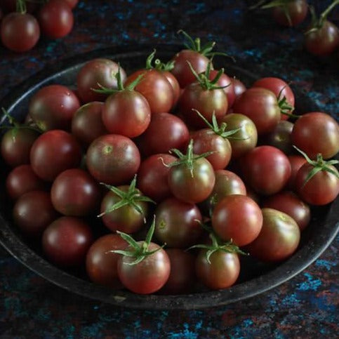 Tomato Black Cherry • طماطم شيري اسود - plantnmore