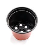 Transplanting Pot Small 12pc• احواض تشتيل صغيرة ١٢حبة - plantnmore