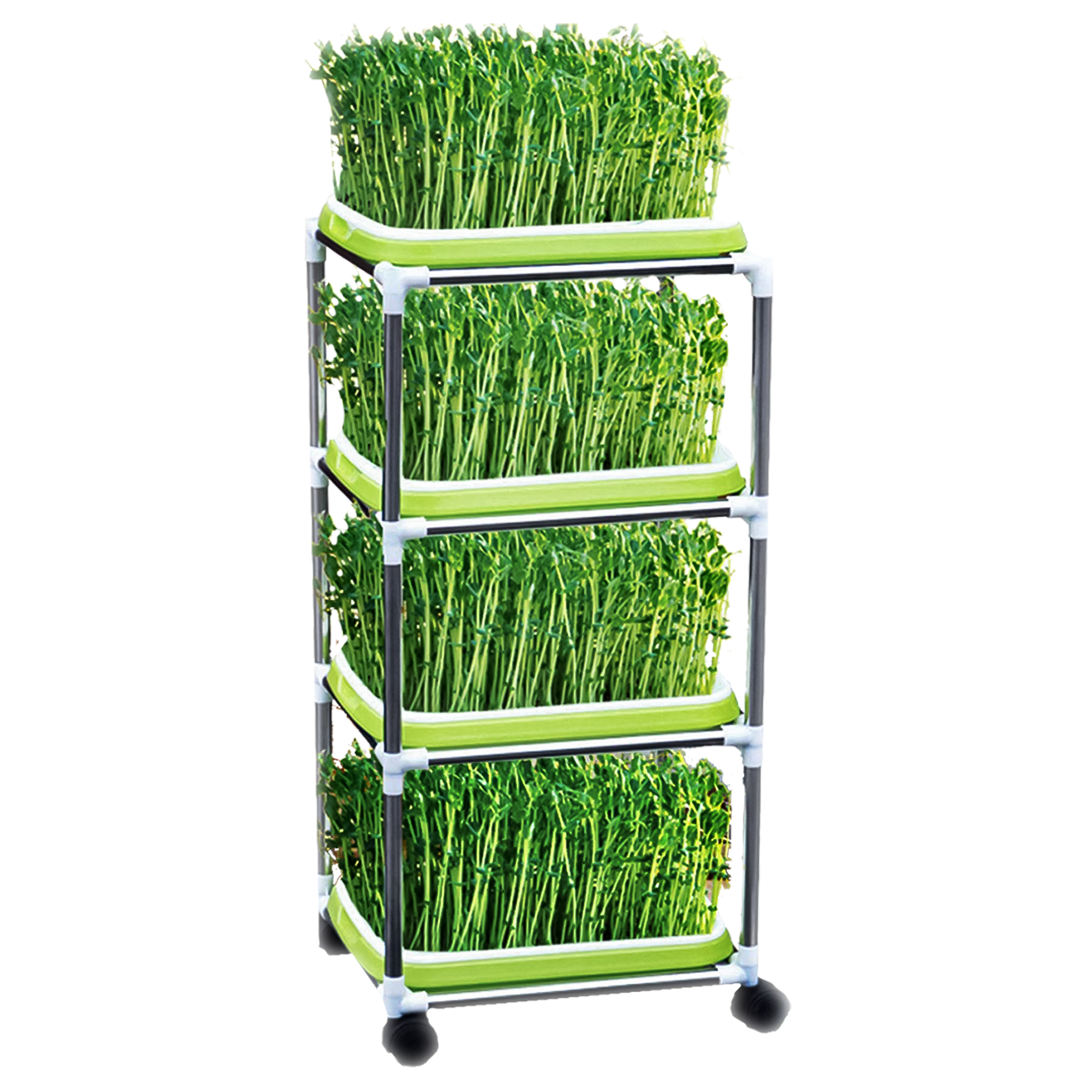 Complete Microgreen Set • طاولة الميكروجرين الشاملة - plantnmore