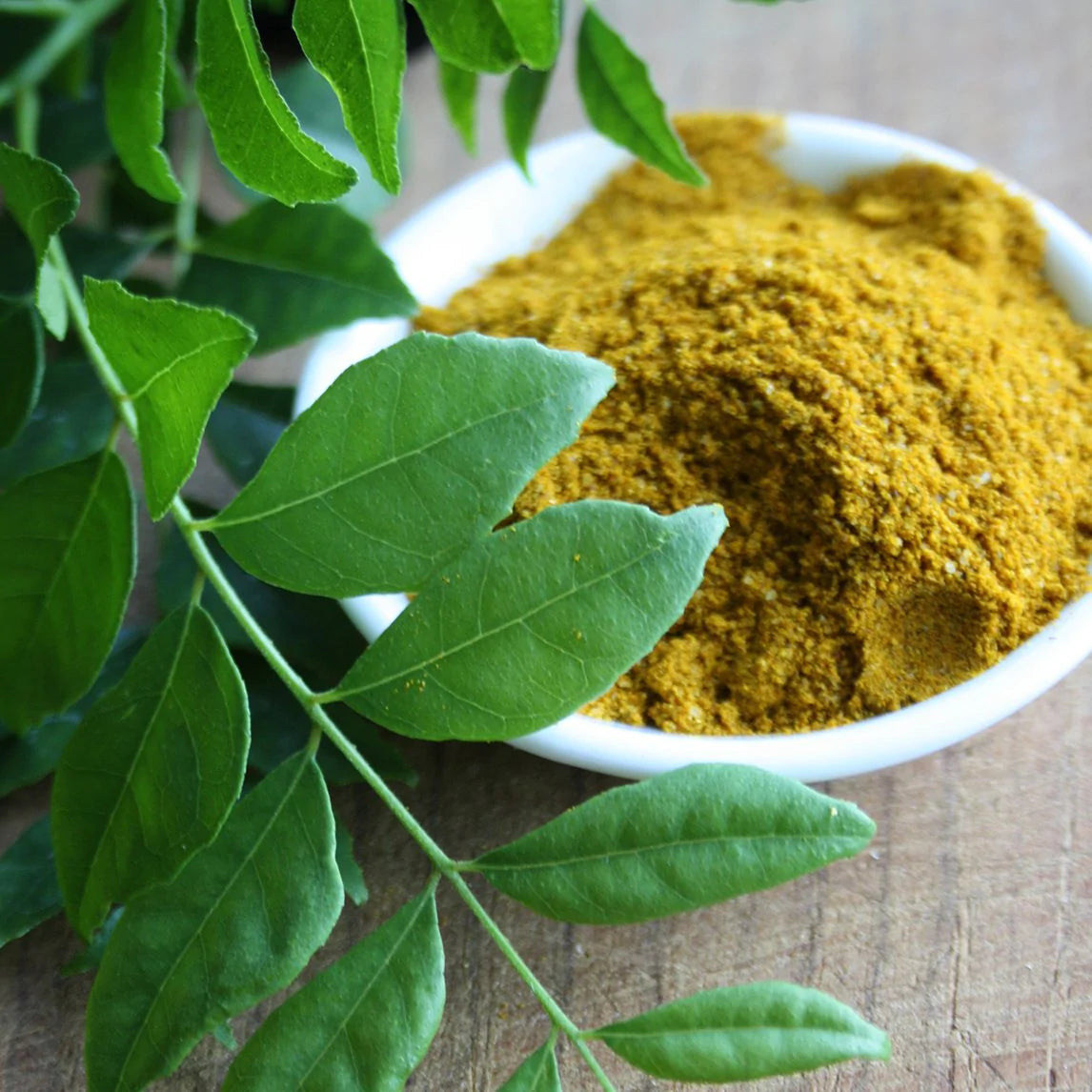Curry Patta Plant Small