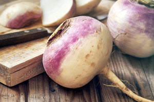 Turnip Purple Top •  لفت بنفسجي - plantnmore