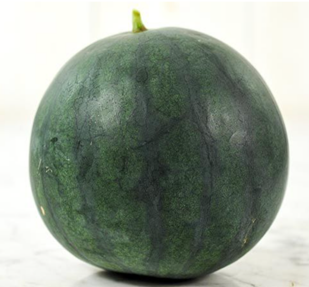 Watermelon Bush Sugar Baby •  بطيخ قزمي حلو - plantnmore