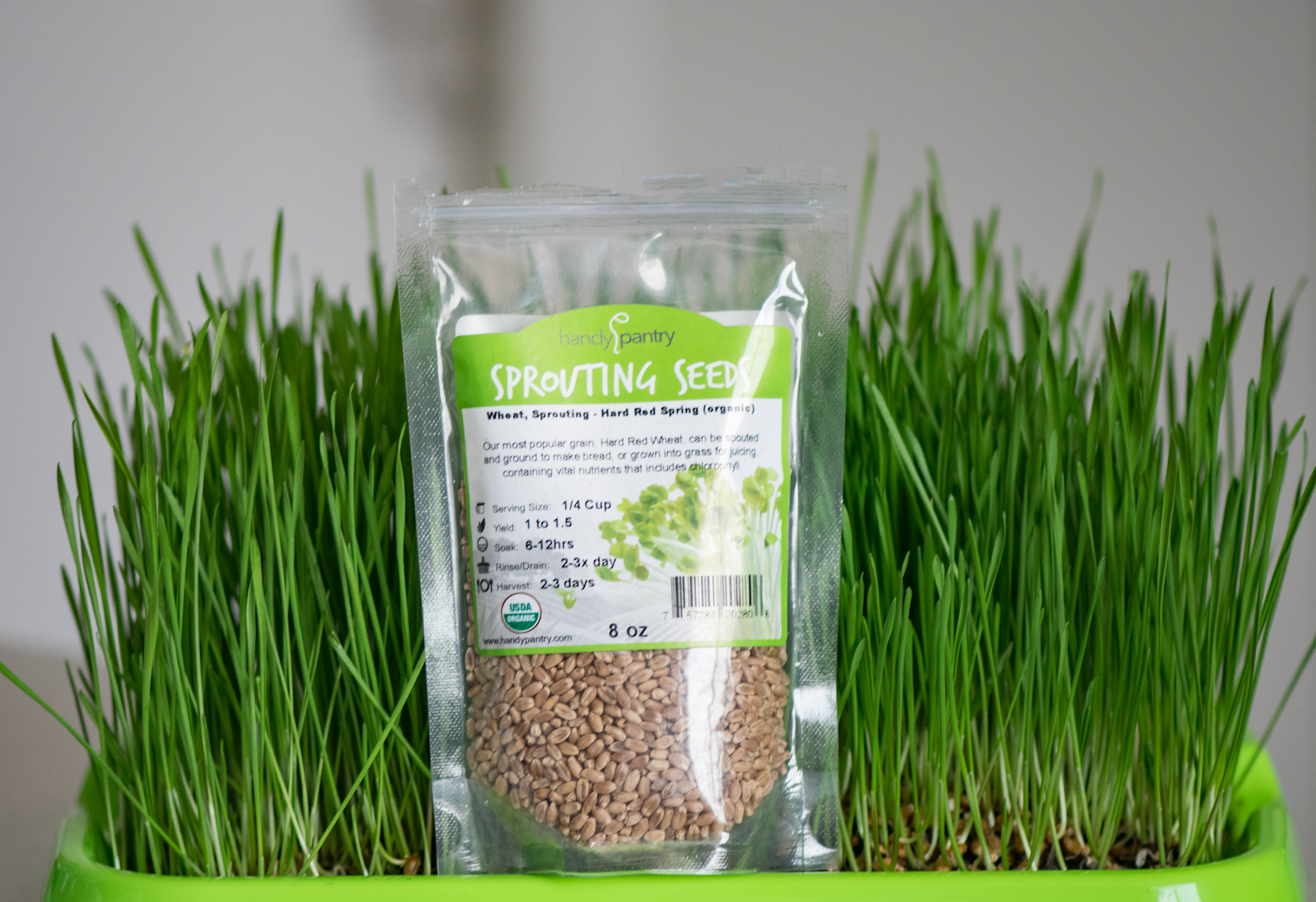 Sprouting Tray • صينية الإستنبات و الميكروجرين - plantnmore