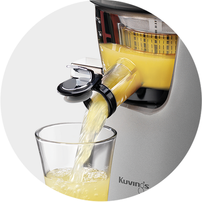 Kuvings C7000 Slow Juicer